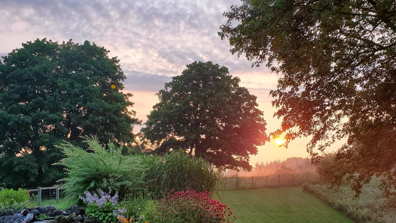 Photo of Outdoor in Flesherton