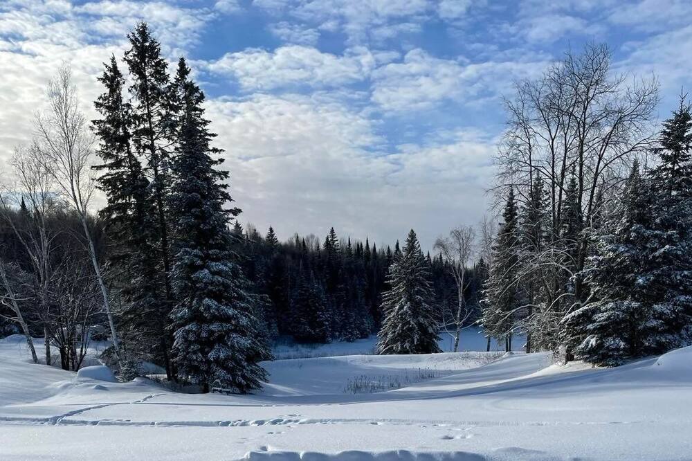 Photo of Outdoor in Trout Creek