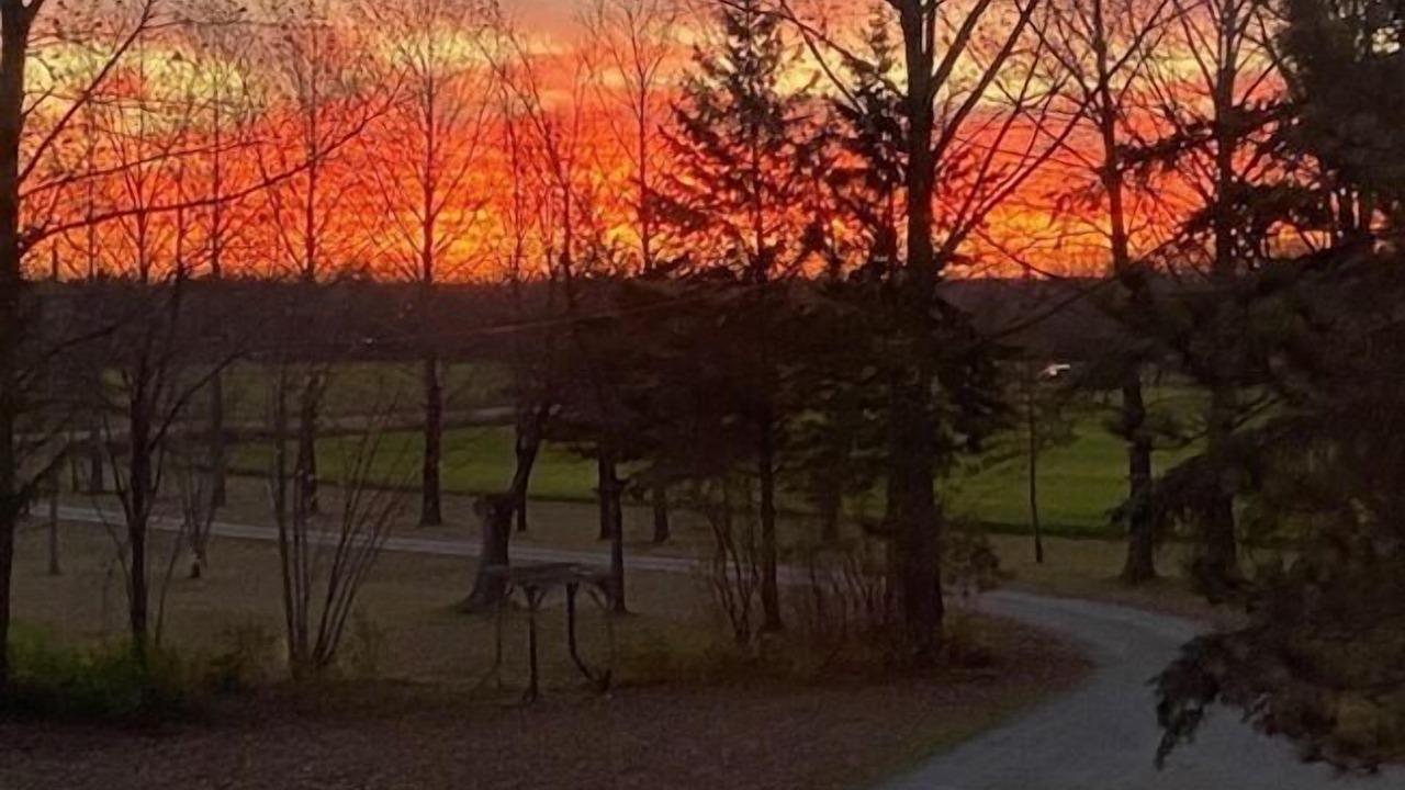 Photo of Outdoor in Kawartha Lakes