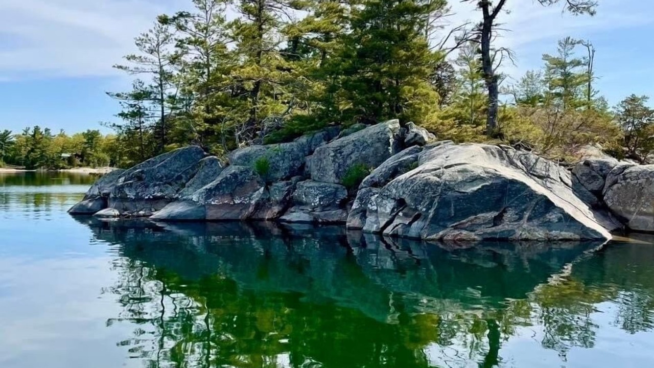 Photo of Others in Owen Sound