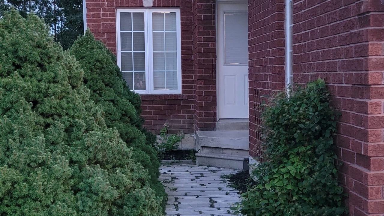Photo of Outdoor in Alcona