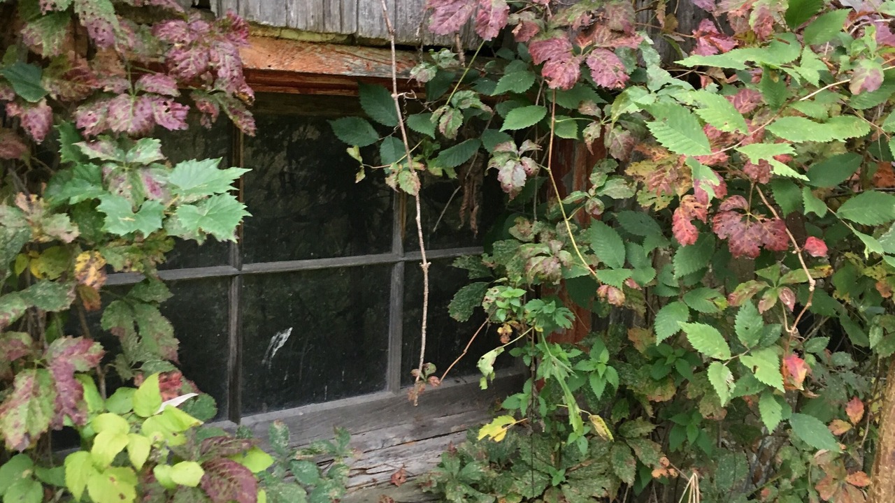 Photo of Outdoor in South Bruce