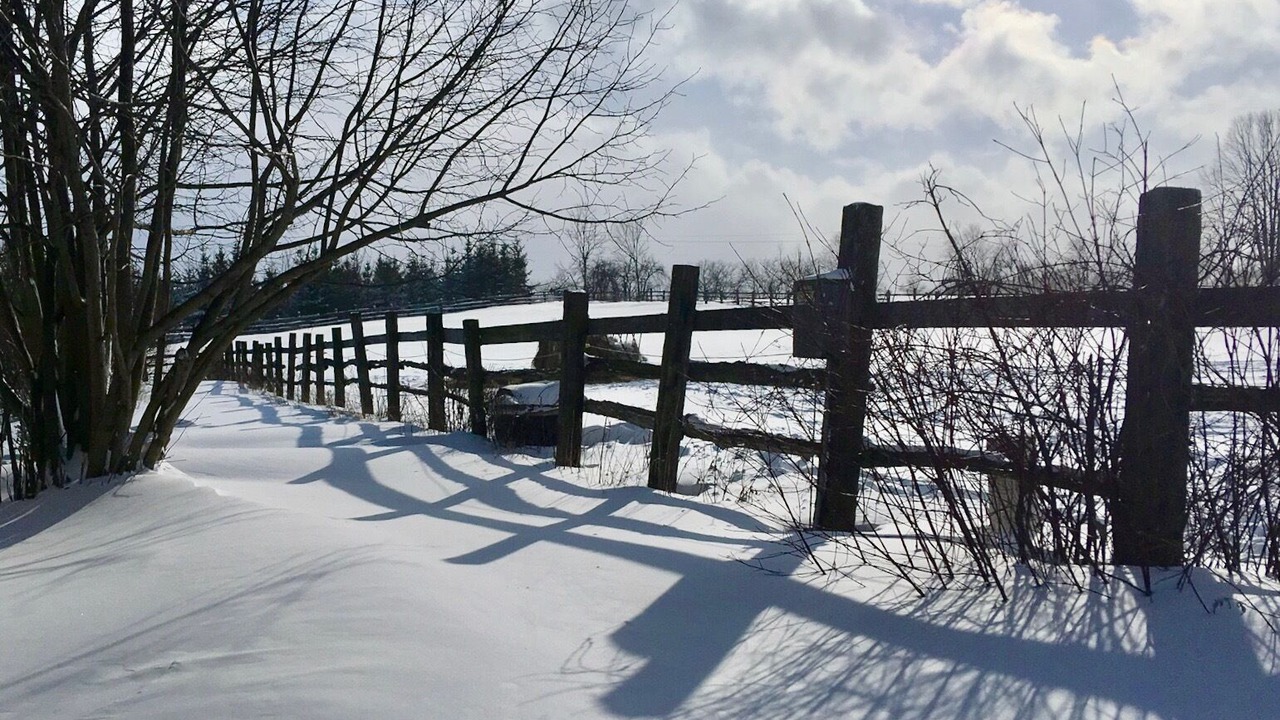 Photo of Outdoor in South Bruce