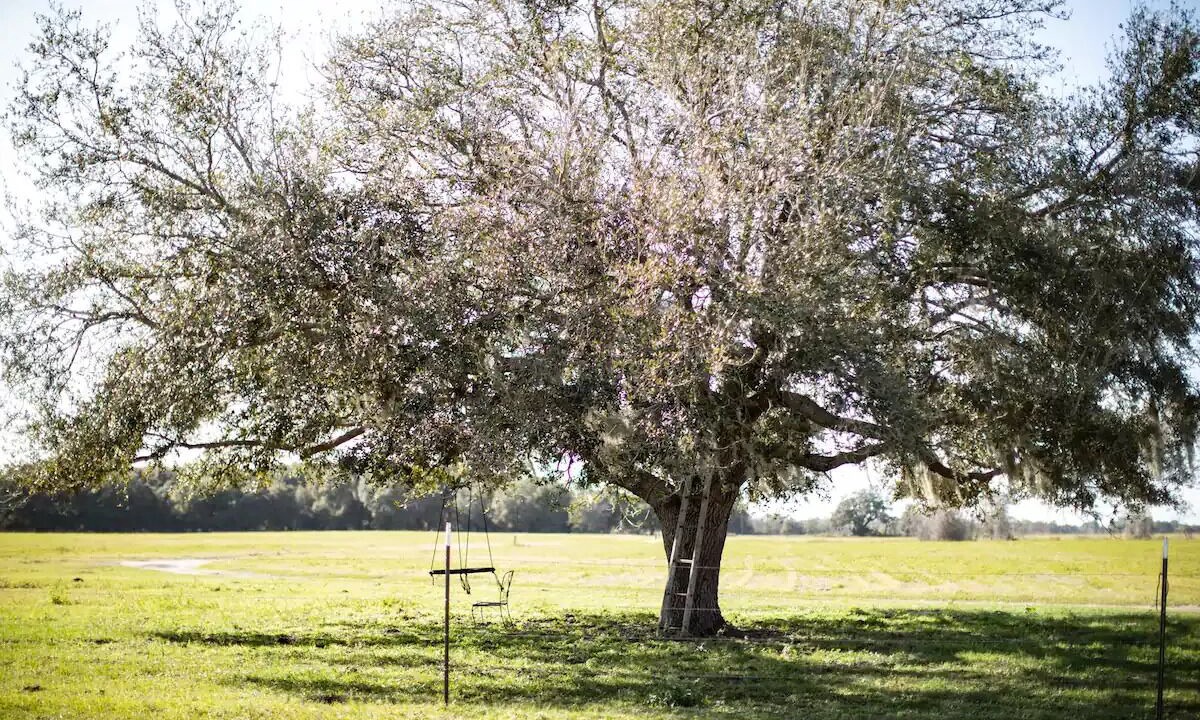 Photo of Others in Groveland