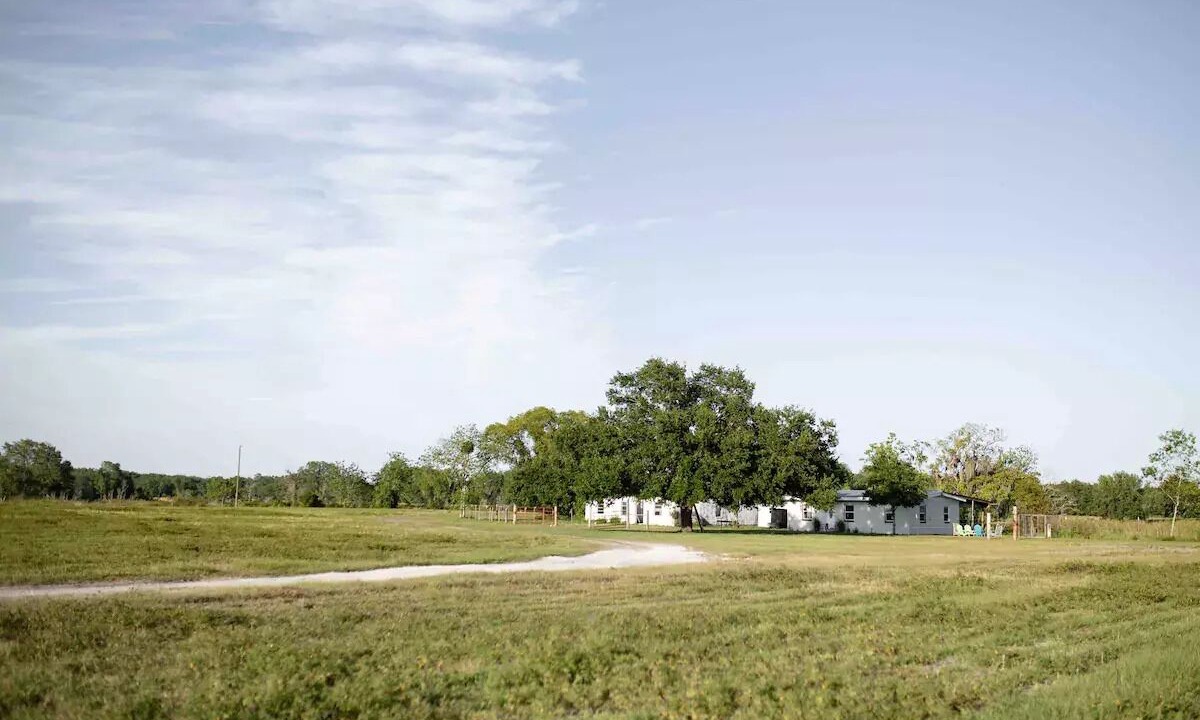 Photo of Others in Groveland