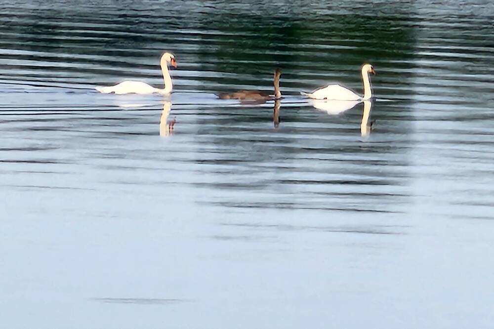 Photo of Others in Grey Highlands