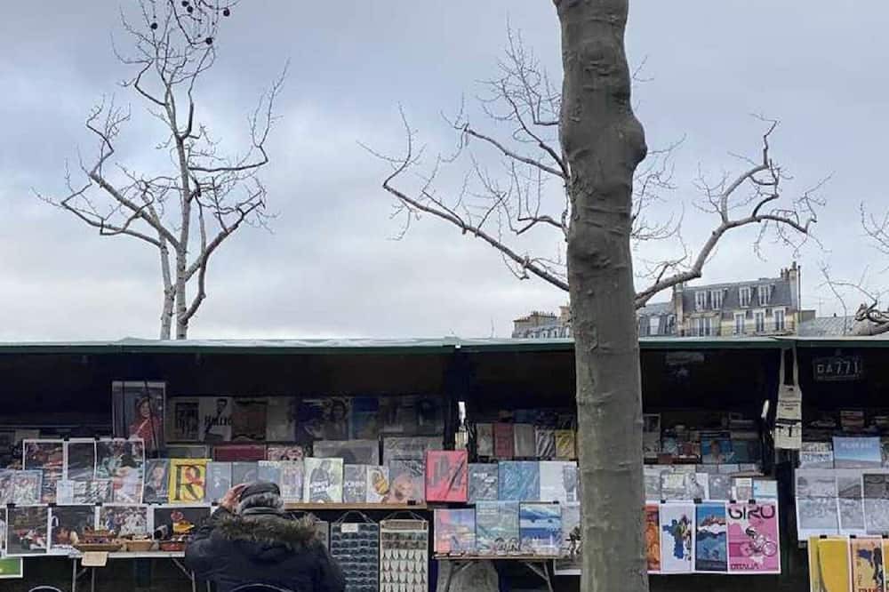 Photo of Outdoor in Notre Dame