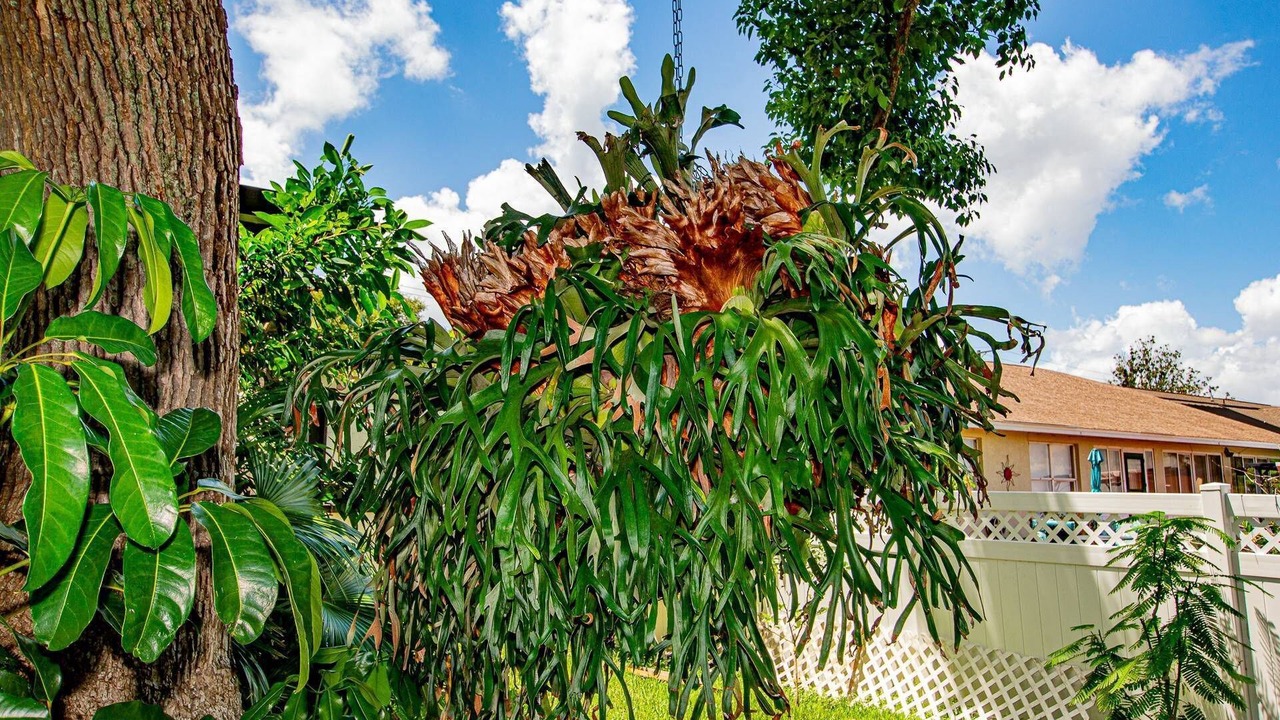 Photo of Outdoor in Winter Haven