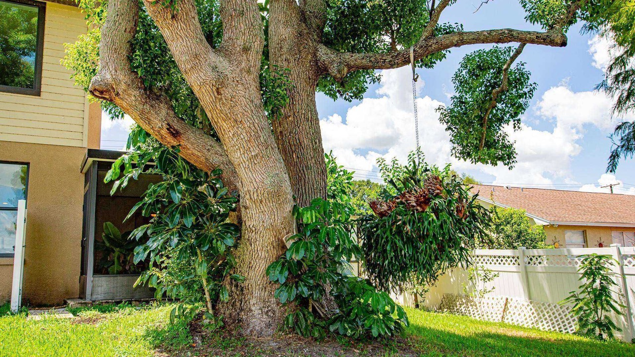 Photo of Outdoor in Winter Haven
