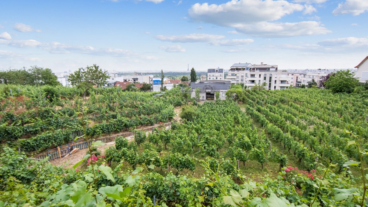 Photo of Outdoor in Suresnes