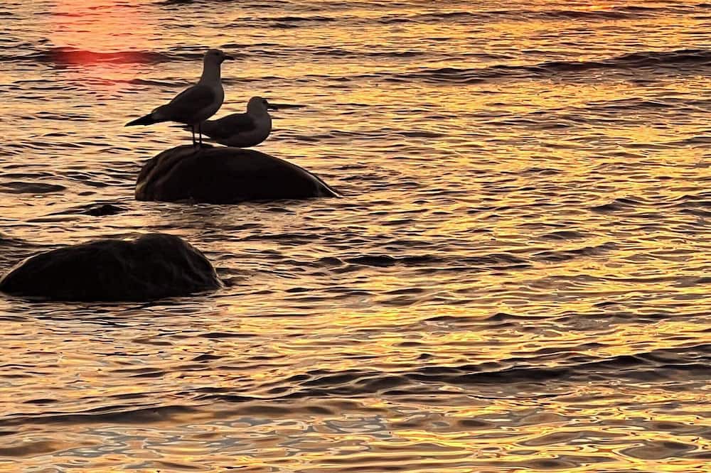 Photo of Others in Kincardine