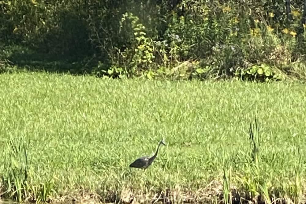Photo of Outdoor in Scugog