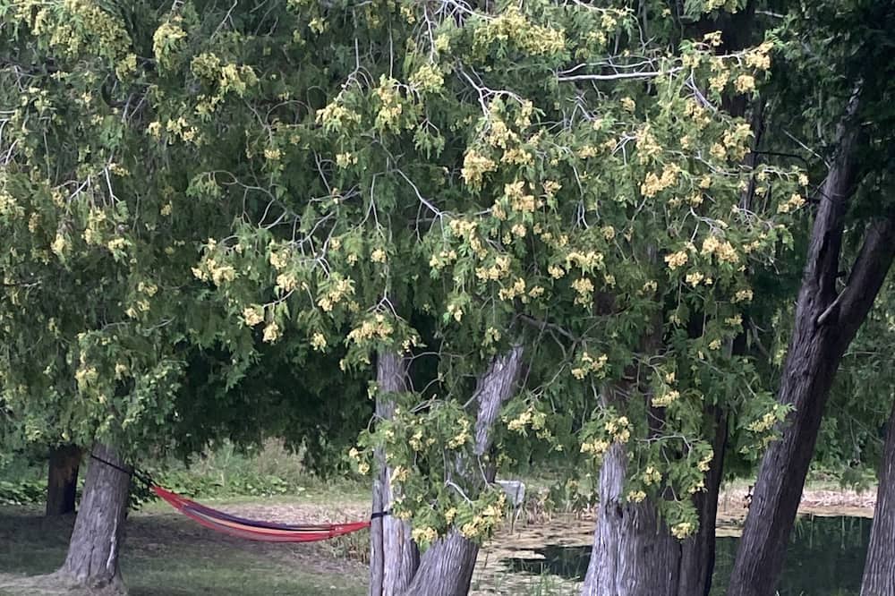 Photo of Outdoor in Scugog