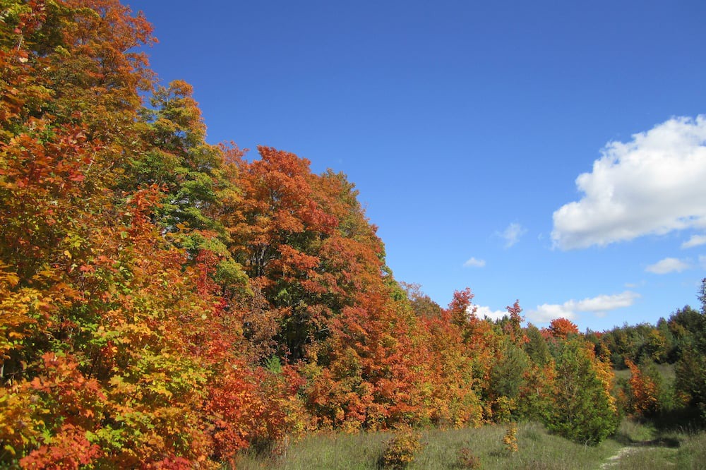 Photo of Others in West Grey