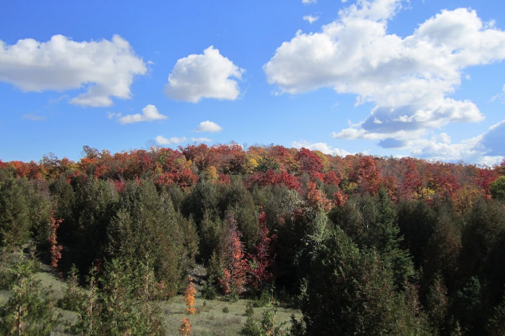 Photo of Others in West Grey