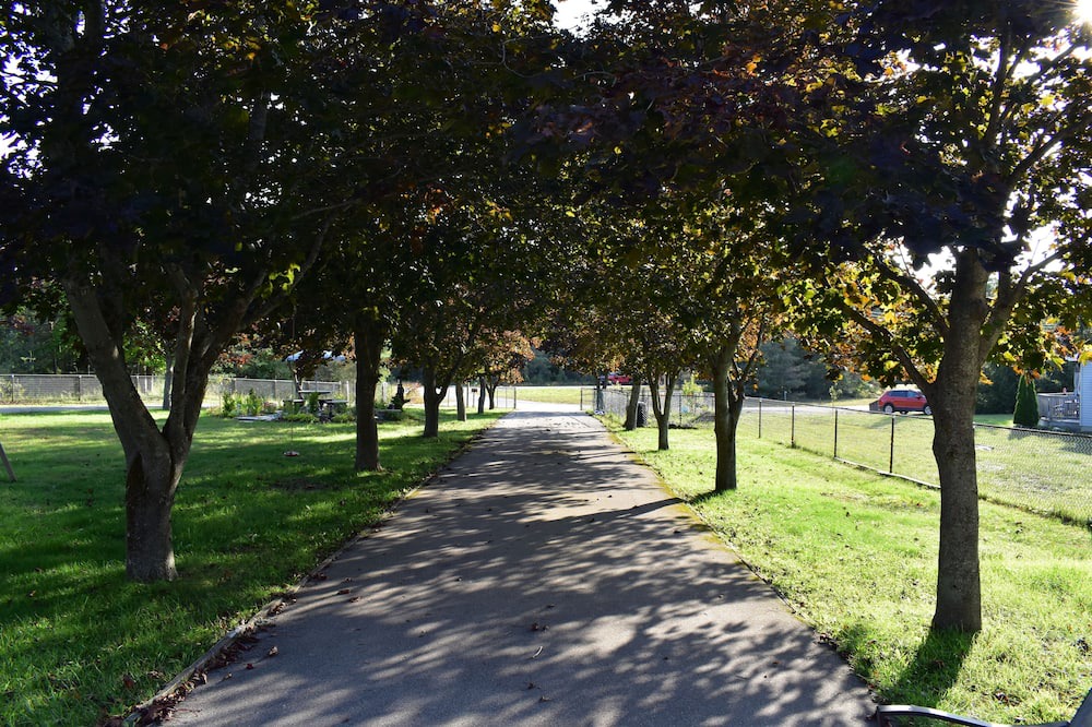 Photo of Outdoor in Sauble Beach