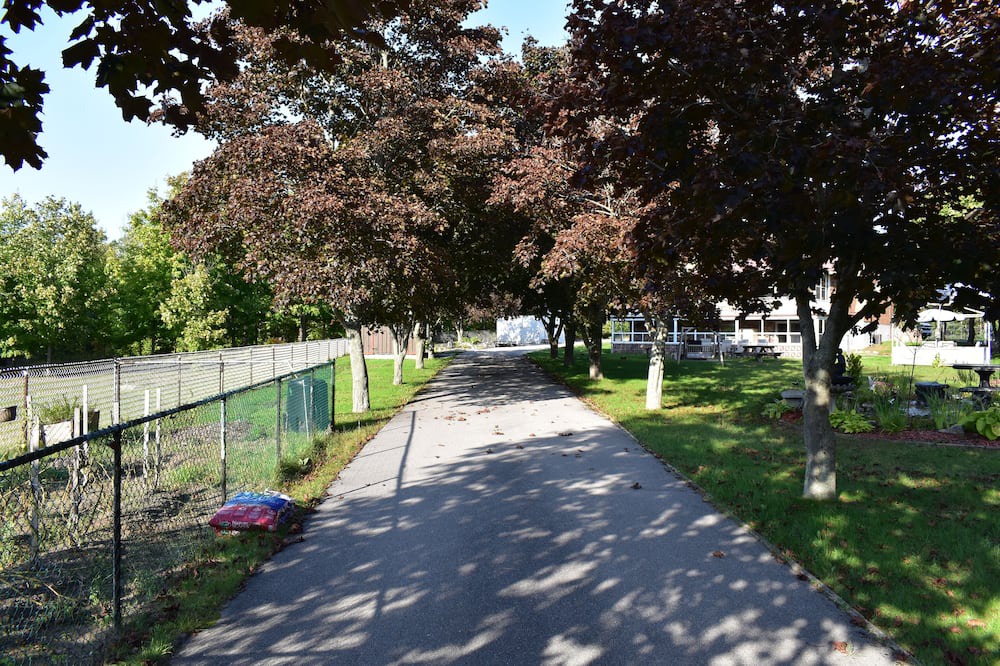 Photo of Outdoor in Sauble Beach