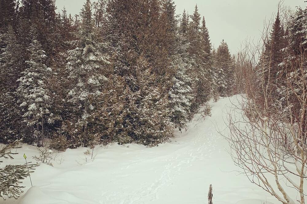 Photo of Others in Northern Bruce Peninsula