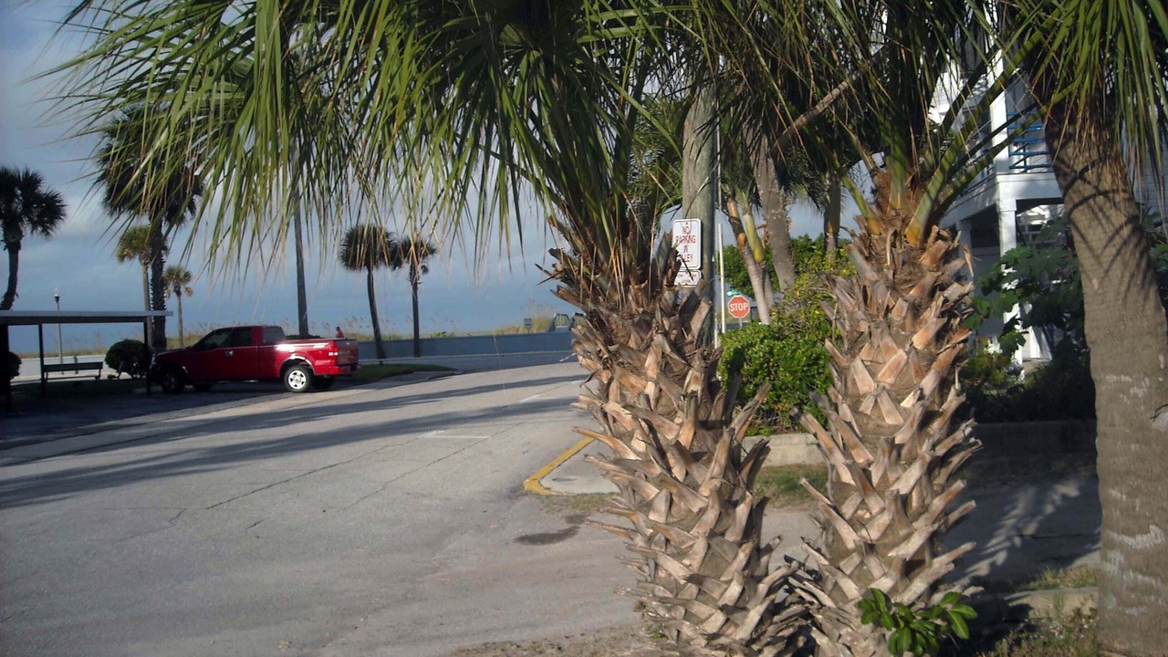 Photo of Outdoor in Pass-a-Grille