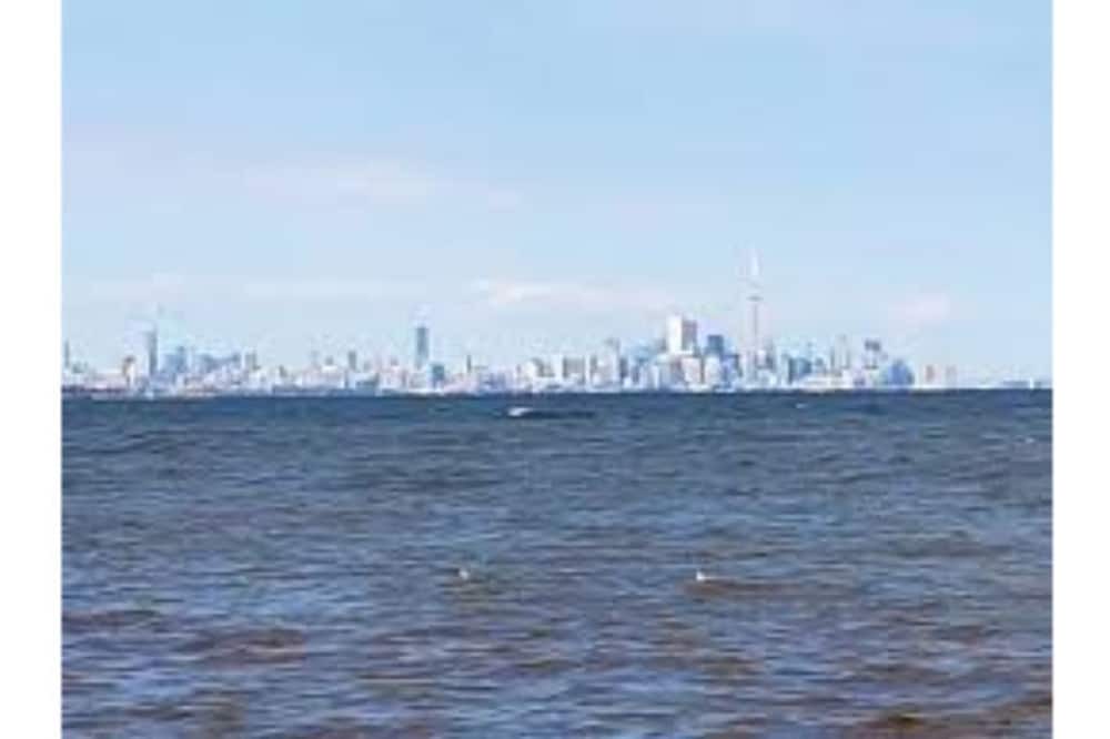 Photo of Others in Downtown Mississauga