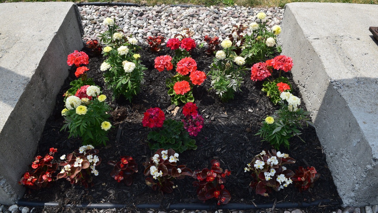 Photo of Outdoor in Arnprior
