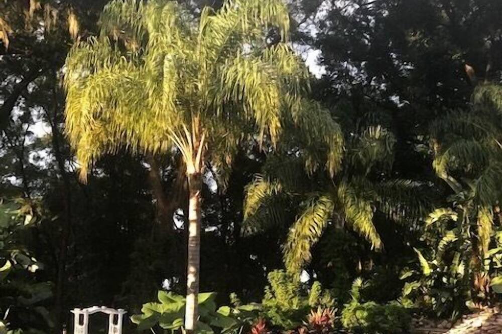 Photo of Outdoor in East County Civic Group