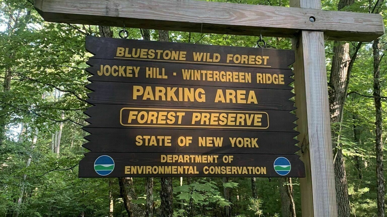 Photo of Outdoor in Kingston