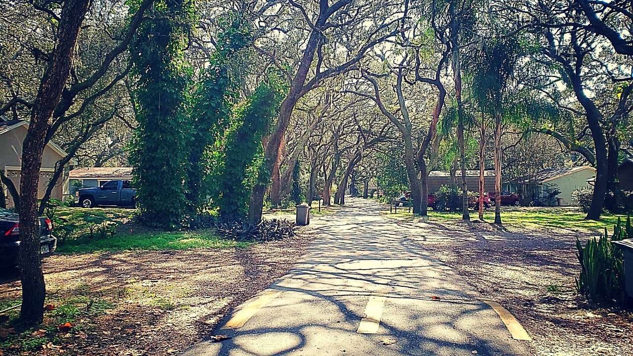 Photo of Outdoor in Odessa