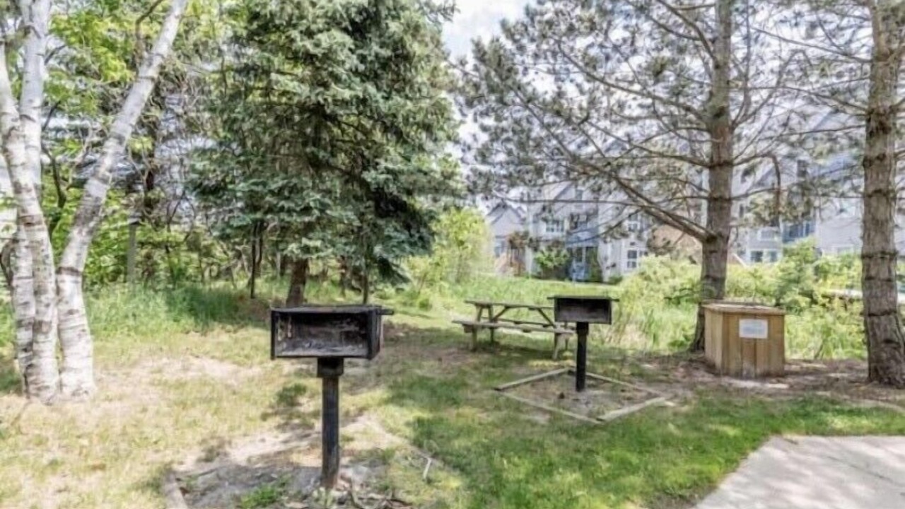 Photo of Outdoor in Craigleith
