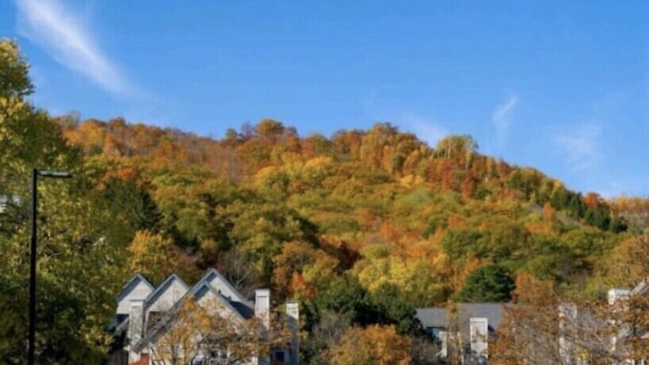 Photo of Outdoor in Craigleith