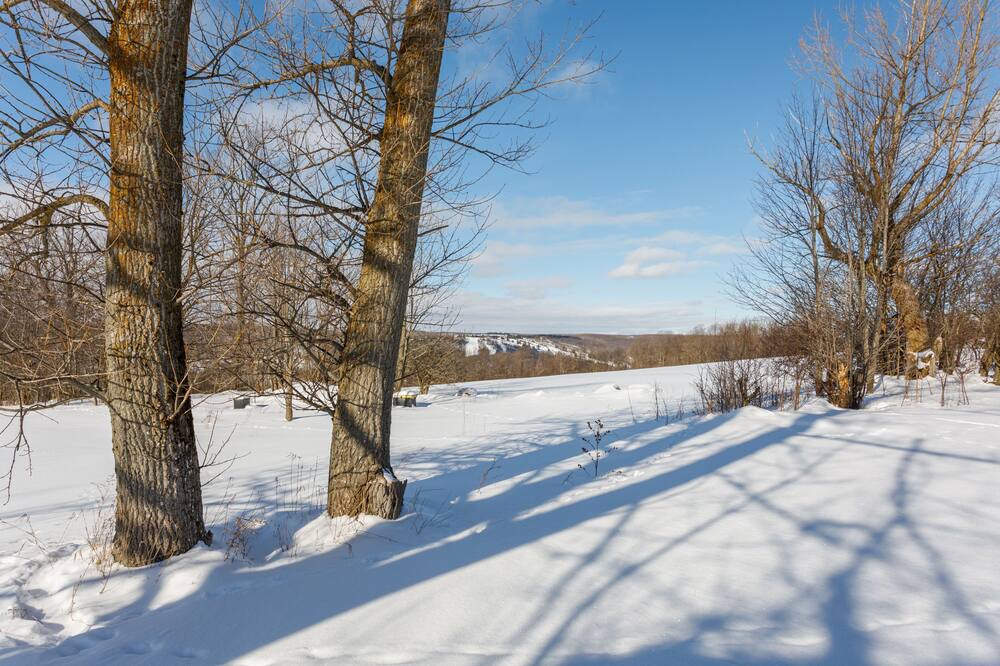 Photo of Others in Grey Highlands