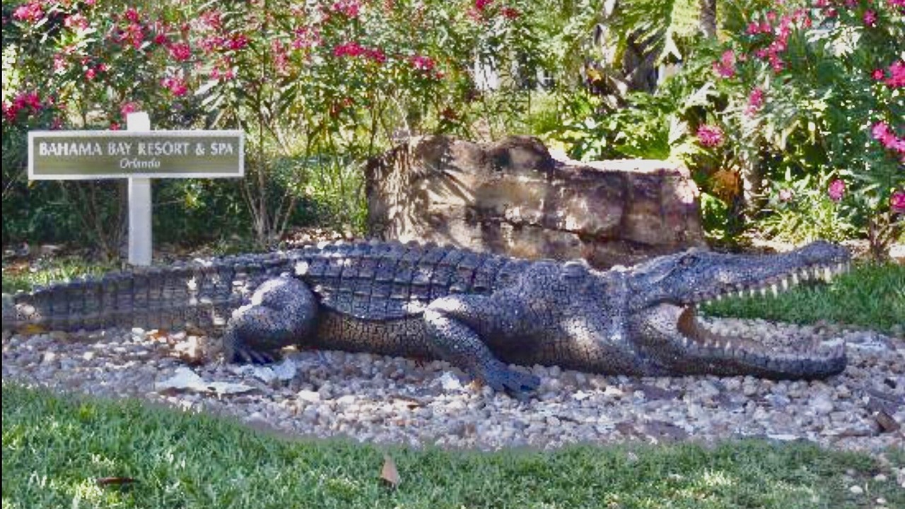 Photo of Outdoor in Bahama Bay