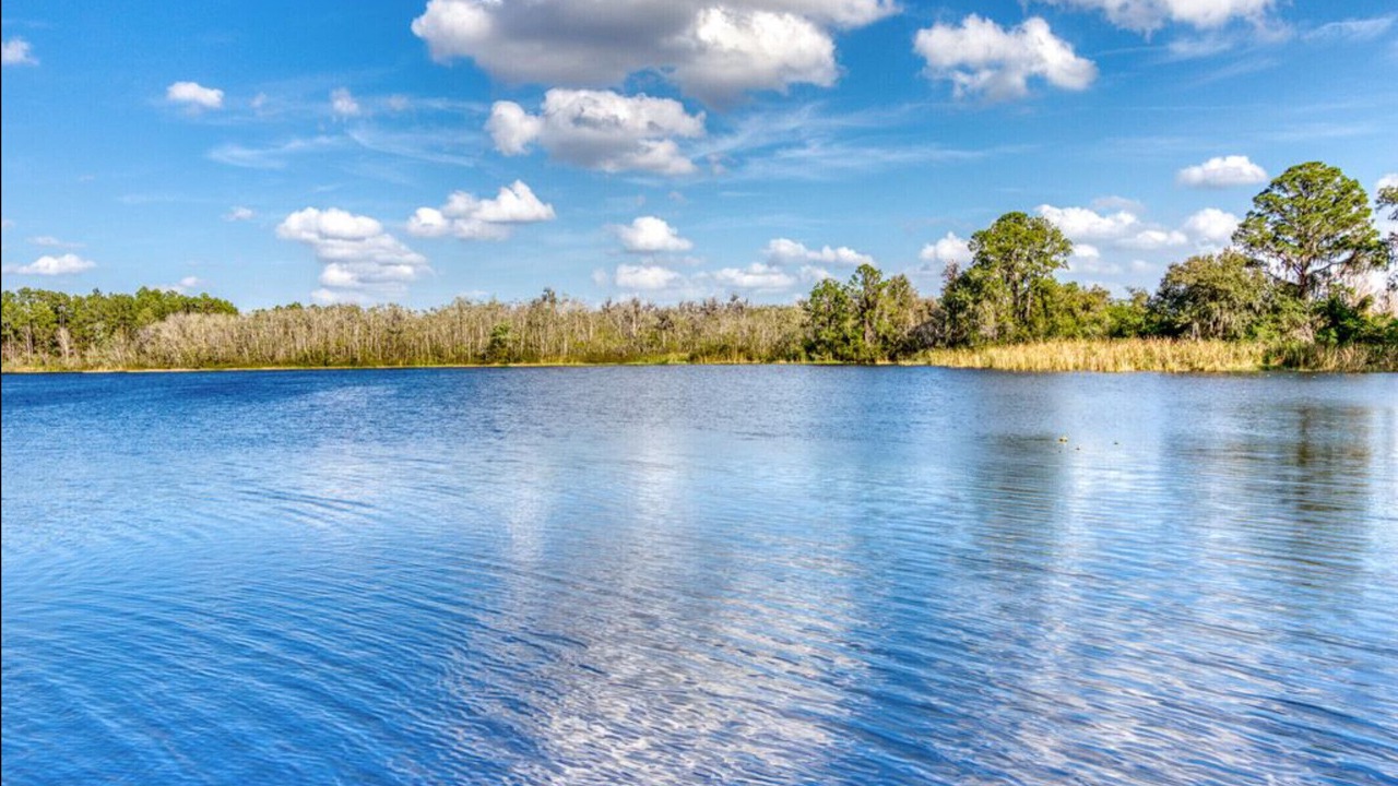 Photo of Outdoor in Bahama Bay