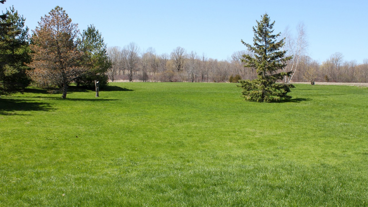 Photo of Outdoor in Loyalist