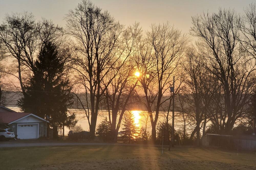 Photo of Outdoor in North Port