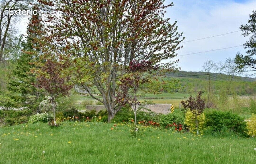 Photo of Outdoor in The Blue Mountains
