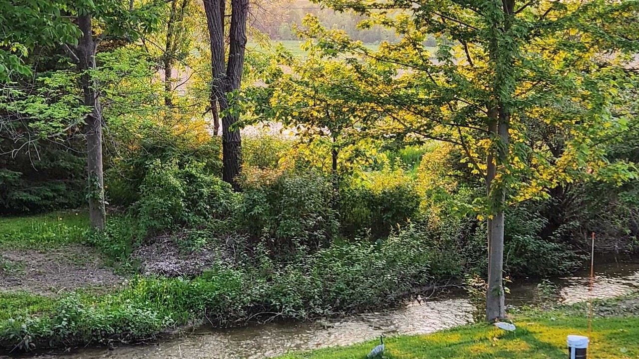 Photo of Outdoor in The Blue Mountains