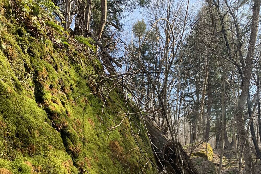 Photo of Outdoor in Unorganized Centre Parry Sound