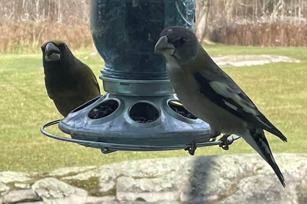 Photo of Others in Unorganized Centre Parry Sound