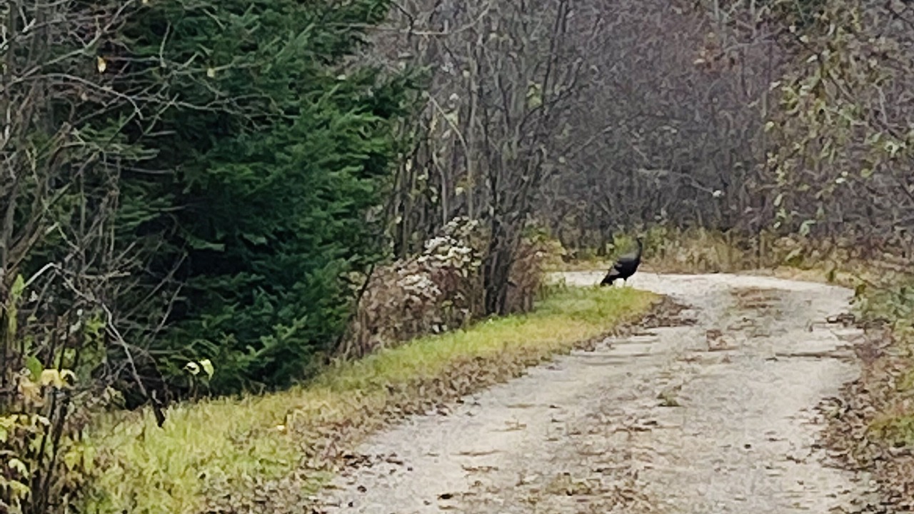 Photo of Outdoor in Highlands East