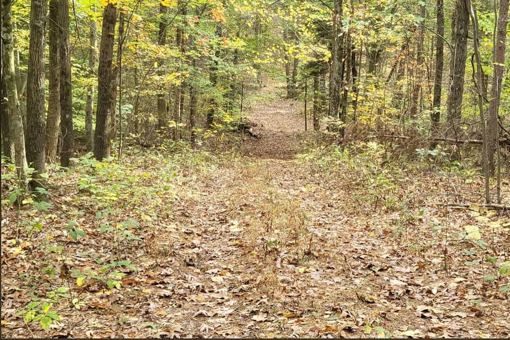 Photo of Outdoor in Loysville