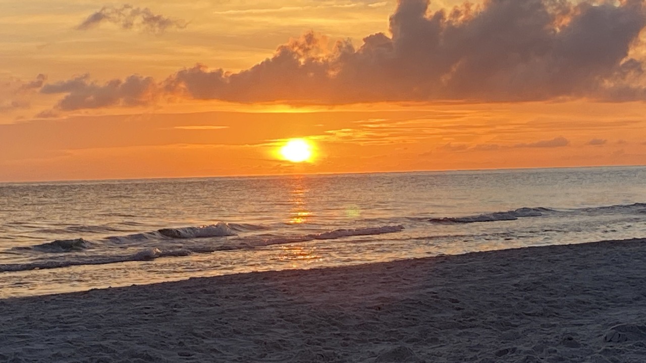 Photo of Others in Indian Shores