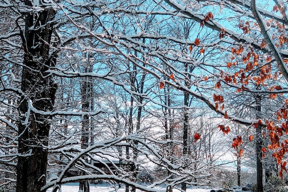 Photo of Outdoor in The Blue Mountains