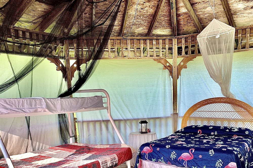 Photo of Bedroom in Howick
