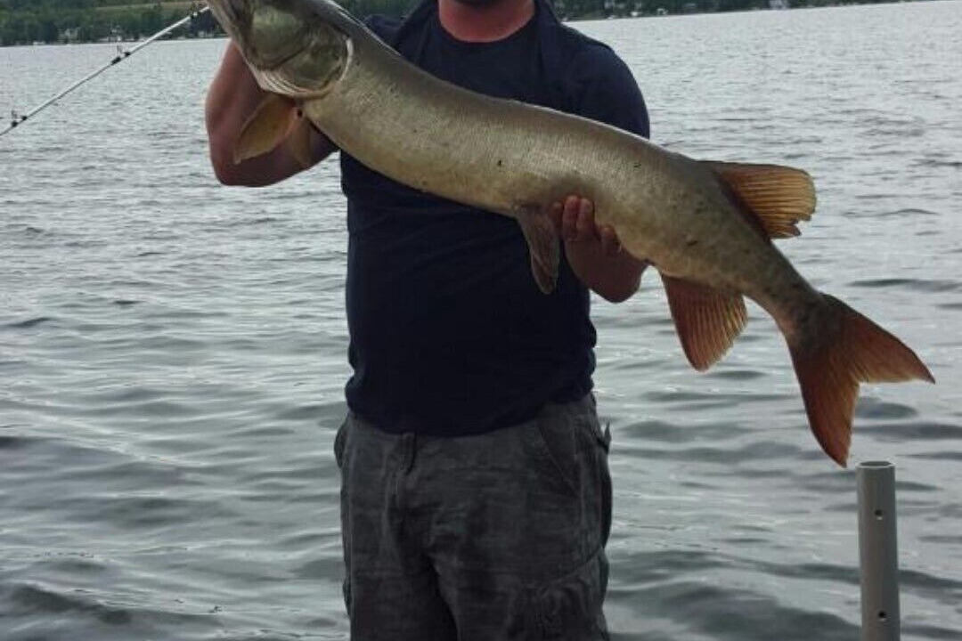 Photo of Others in Fenelon Falls