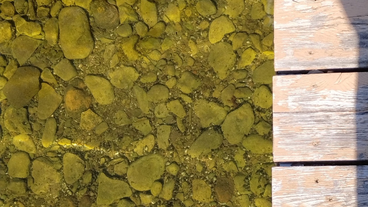 Photo of Others in Fenelon Falls