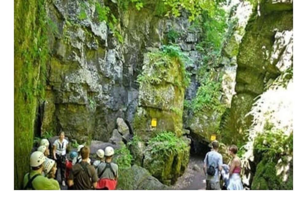 Photo of Others in Craigleith