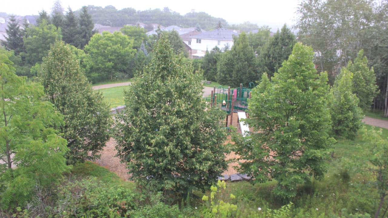 Photo of Outdoor in Highland West