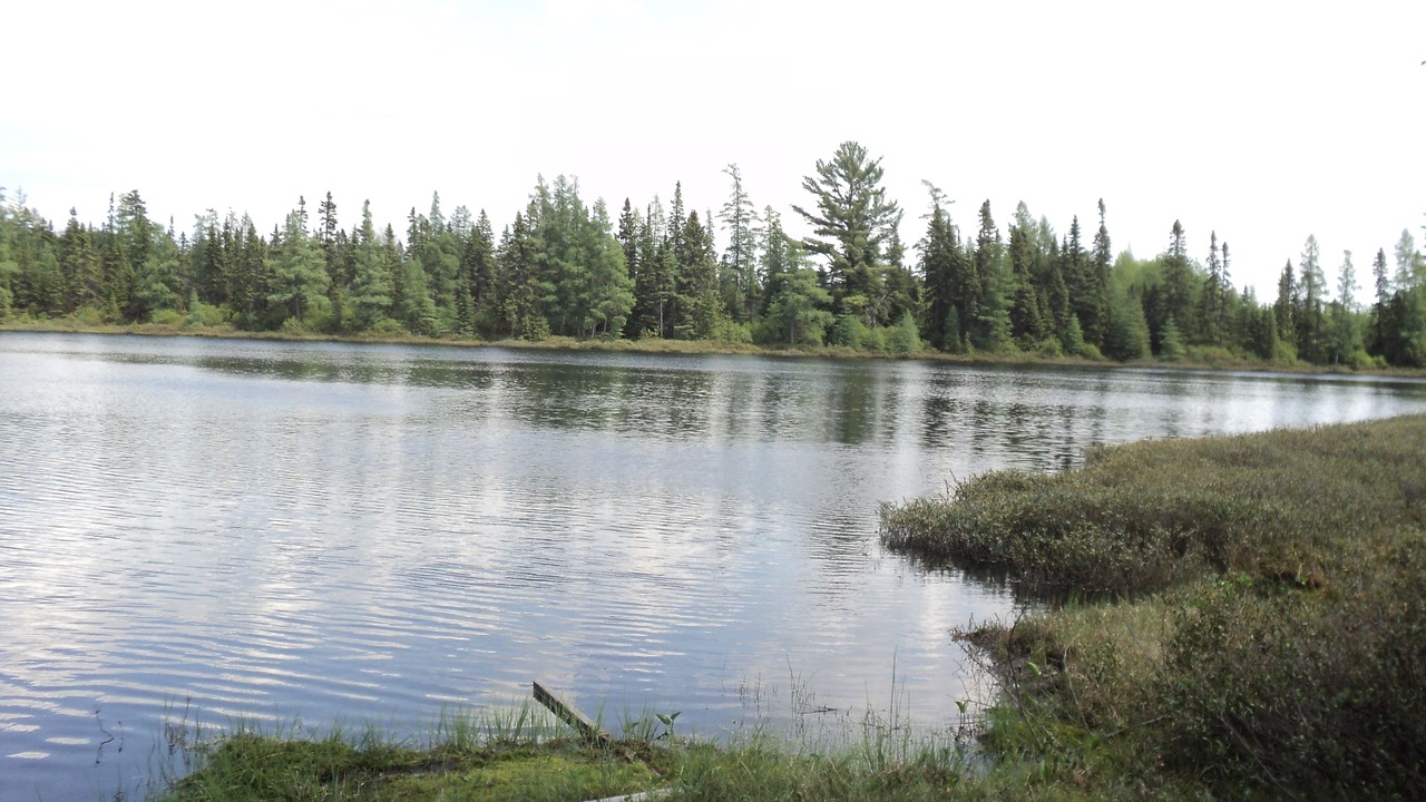 Photo of Others in North Bay
