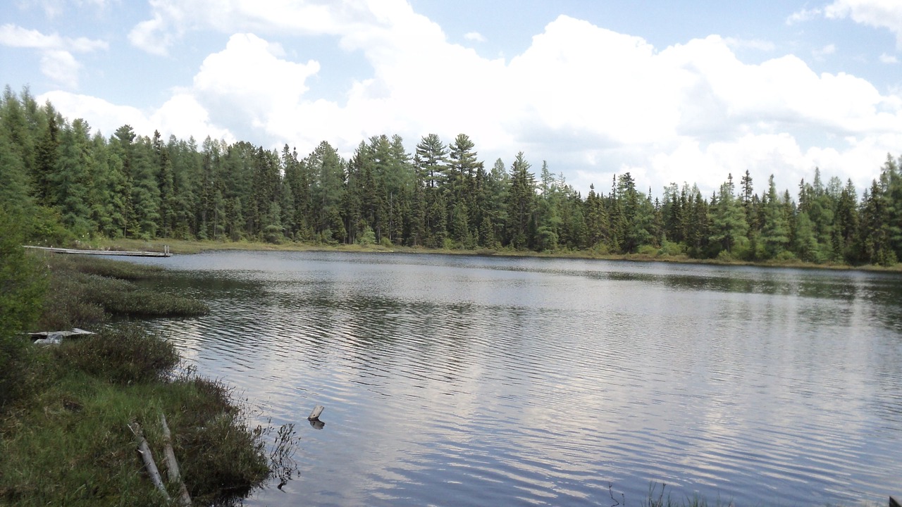 Photo of Others in North Bay